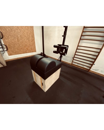 GHD su Plyobox (per i pettorali)