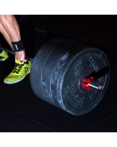 HD Premium 20kg griffin Thornfit