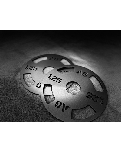 Anchorgym 1,25 kg Stahlgewicht