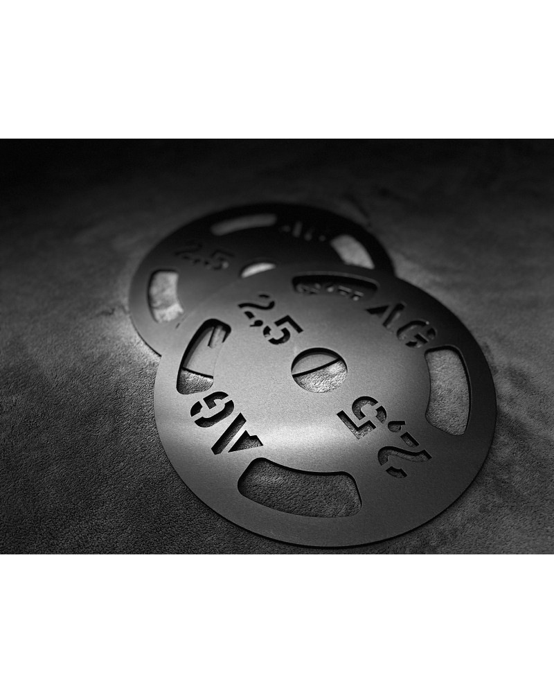 Anchorgym 2,5 kg stålvikt