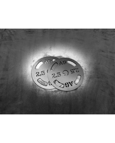 Anchorgym 2.5 kg steel weight